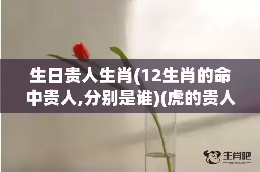 生日贵人生肖(12生肖的命中贵人,分别是谁)(虎的贵人是什么生肖) 生日贵人生肖(12生肖的命中贵人,分别是谁)(虎的贵人是什么生肖)