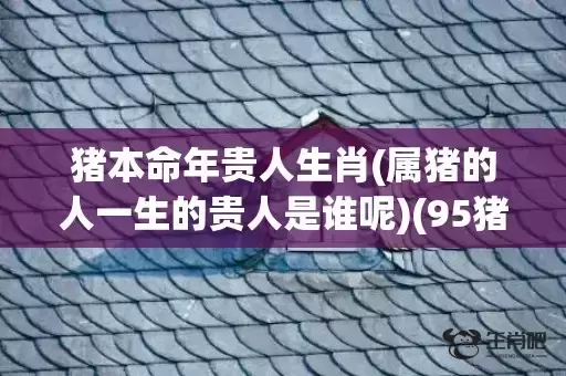 猪本命年贵人生肖(属猪的人一生的贵人是谁呢)(95猪的贵人是什么生肖) 猪本命年贵人生肖(属猪的人一生的贵人是谁呢)(95猪的贵人是什么生肖)