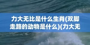 力大无比是什么生肖(双脚走路的动物是什么)(力大无比是什么生肖百度知道)