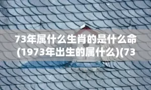 73年属什么生肖的是什么命(1973年出生的属什么)(73年属什么生肖 今年多大了)