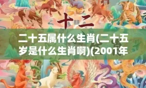 二十五属什么生肖(二十五岁是什么生肖啊)(2001年腊月二十五属什么生肖)