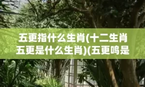 五更指什么生肖(十二生肖五更是什么生肖)(五更鸣是指什么生肖)