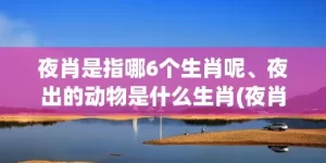 夜肖是指哪6个生肖呢、夜出的动物是什么生肖(夜肖是指哪6个生肖雨肖)