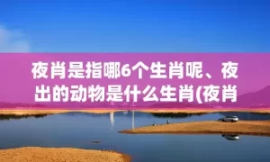 夜肖是指哪6个生肖呢、夜出的动物是什么生肖(夜肖是指哪6个生肖雨肖)