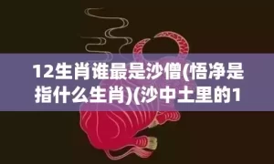 12生肖谁最是沙僧(悟净是指什么生肖)(沙中土里的12生肖)