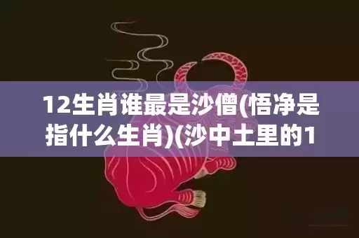 12生肖谁最是沙僧(悟净是指什么生肖)(沙中土里的12生肖)