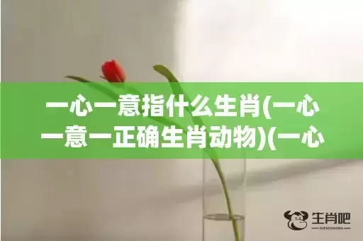 一心一意指什么生肖(一心一意一正确生肖动物)(一心一意指什么肖) 一心一意指什么生肖(一心一意一正确生肖动物)(一心一意指什么肖)