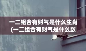 一二组合有财气是什么生肖(一二组合有财气是什么数字)(一二组合有财气是什么意思)