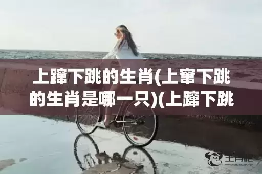 上蹿下跳的生肖(上窜下跳的生肖是哪一只)(上蹿下跳的生肖是哪个)