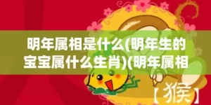 明年属相是什么(明年生的宝宝属什么生肖)(明年属相是什么生肖)