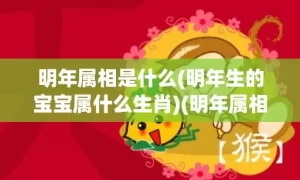 明年属相是什么(明年生的宝宝属什么生肖)(明年属相是什么生肖)