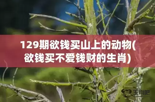129期欲钱买山上的动物(欲钱买不爱钱财的生肖) 129期欲钱买山上的动物(欲钱买不爱钱财的生肖)