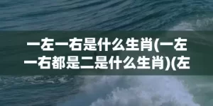 一左一右是什么生肖(一左一右都是二是什么生肖)(左一右是什么生肖)