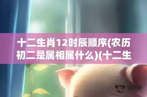 十二生肖12时辰顺序(农历初二是属相属什么)(十二生肖12时辰顺序图) 十二生肖12时辰顺序(农历初二是属相属什么)(十二生肖12时辰顺序图)