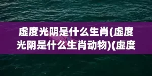 虚度光阴是什么生肖(虚度光阴是什么生肖动物)(虚度光阴是什么生肖动物)