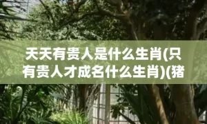 天天有贵人是什么生肖(只有贵人才成名什么生肖)(猪的贵人是什么生肖)