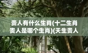 贵人有什么生肖(十二生肖贵人是哪个生肖)(天生贵人指什么生肖)缩略图 贵人有什么生肖(十二生肖贵人是哪个生肖)(天生贵人指什么生肖)