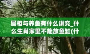 属相与养鱼有什么讲究_什么生肖家里不能放鱼缸(什么属相的人不能养鱼)