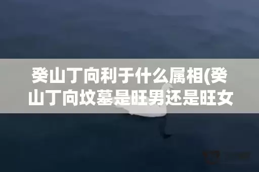癸山丁向利于什么属相(癸山丁向坟墓是旺男还是旺女)(癸山丁向出什么人)