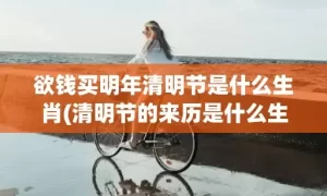 欲钱买明年清明节是什么生肖(清明节的来历是什么生肖)(欲钱买明年清明节是什么生肖)