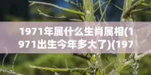 1971年属什么生肖属相(1971出生今年多大了)(1977年属什么)