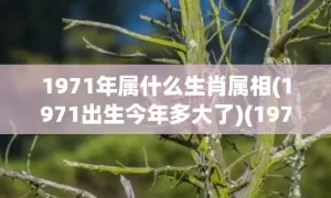 1971年属什么生肖属相(1971出生今年多大了)(1977年属什么)