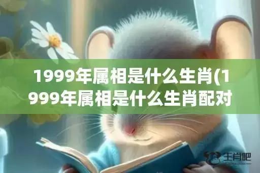 1999年属相是什么生肖(1999年属相是什么生肖配对最好)(1999年属兔是什么命) 1999年属相是什么生肖(1999年属相是什么生肖配对最好)(1999年属兔是什么命)