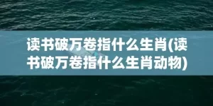 读书破万卷指什么生肖(读书破万卷指什么生肖动物)(读书破万卷的万卷指什么)