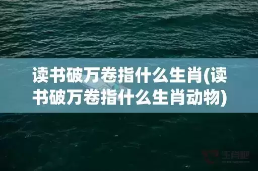 读书破万卷指什么生肖(读书破万卷指什么生肖动物)(读书破万卷的万卷指什么)
