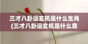 三才八卦运玄机是什么生肖(三才八卦运玄机是什么意思)(三才八卦运玄机是指哪个数字)