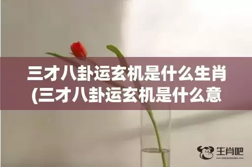 三才八卦运玄机是什么生肖(三才八卦运玄机是什么意思)(三才八卦运玄机是指哪个数字) 三才八卦运玄机是什么生肖(三才八卦运玄机是什么意思)(三才八卦运玄机是指哪个数字)