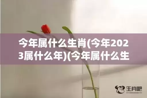 今年属什么生肖(今年2023属什么年)(今年属什么生肖2023)