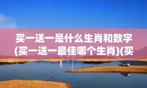 买一送一是什么生肖和数字(买一送一最佳哪个生肖)(买一送一下一句是什么)