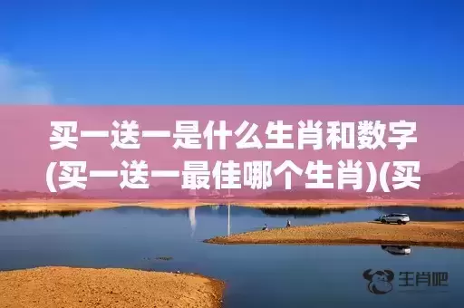 买一送一是什么生肖和数字(买一送一最佳哪个生肖)(买一送一下一句是什么)