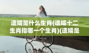 遗孀是什么生肖(遗孀十二生肖指哪一个生肖)(遗孀是什么生肖的动物)