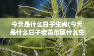 今天是什么日子生肖(今天是什么日子老黄历属什么生肖)(今天是什么日子生肖农历几号)