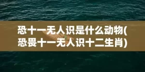 恐十一无人识是什么动物(恐畏十一无人识十二生肖)(恐畏十一无人识打一数字)