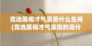 竞选属相才气豪是什么生肖(竞选属相才气豪指的是什么动物)(竞选属相才气豪谜底)