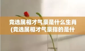 竞选属相才气豪是什么生肖(竞选属相才气豪指的是什么动物)(竞选属相才气豪谜底)