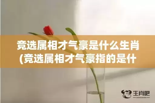 竞选属相才气豪是什么生肖(竞选属相才气豪指的是什么动物)(竞选属相才气豪谜底)