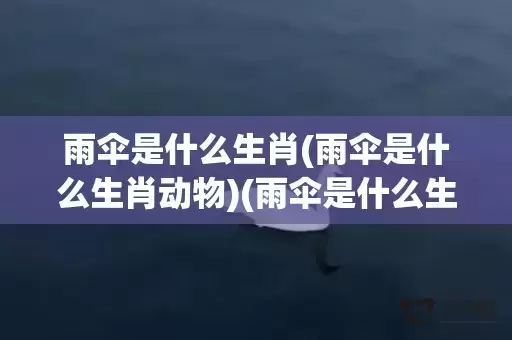 雨伞是什么生肖(雨伞是什么生肖动物)(雨伞是什么生肖动物图片) 雨伞是什么生肖(雨伞是什么生肖动物)(雨伞是什么生肖动物图片)