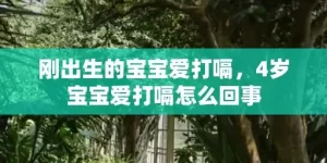 刚出生的宝宝爱打嗝，4岁宝宝爱打嗝怎么回事