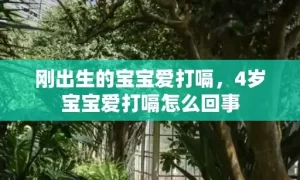 刚出生的宝宝爱打嗝，4岁宝宝爱打嗝怎么回事