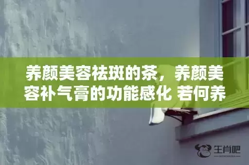 养颜美容祛斑的茶，养颜美容补气膏的功能感化 若何养颜美容准确方式