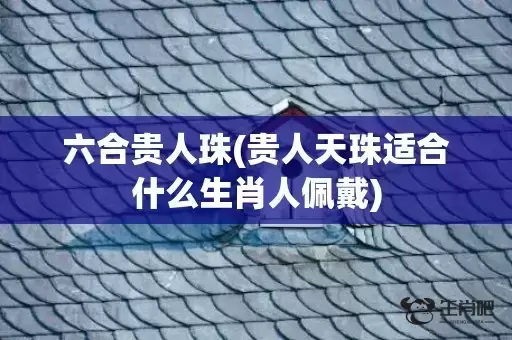六合贵人珠(贵人天珠适合什么生肖人佩戴) 六合贵人珠(贵人天珠适合什么生肖人佩戴)