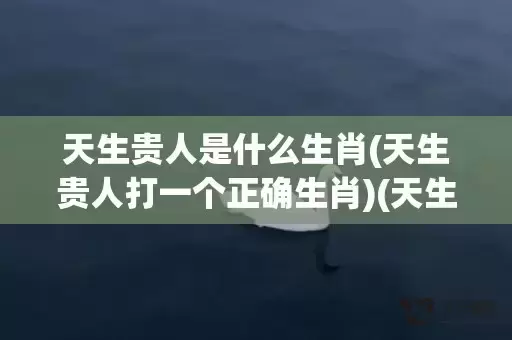 天生贵人是什么生肖(天生贵人打一个正确生肖)(天生贵人幸福年是什么意思)