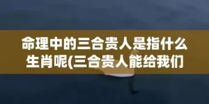 命理中的三合贵人是指什么生肖呢(三合贵人能给我们带来什么)(命理中的三台贵人)