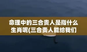 命理中的三合贵人是指什么生肖呢(三合贵人能给我们带来什么)(命理中的三台贵人)