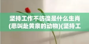 坚持工作不彷徨是什么生肖(悲叫赴黄泉的动物)(坚持工作不彷徨猜生肖)