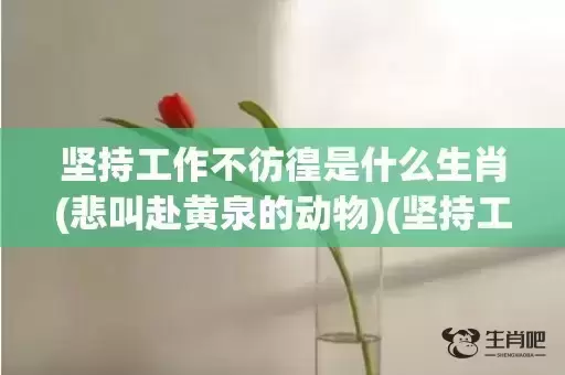 坚持工作不彷徨是什么生肖(悲叫赴黄泉的动物)(坚持工作不彷徨猜生肖)